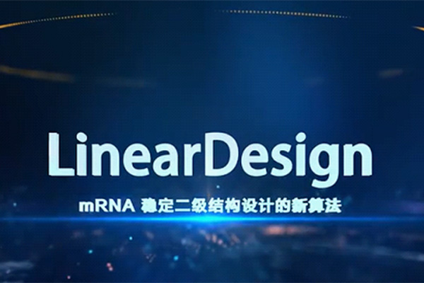 暢談mRNA技術(shù)全流程4： 為什么梁山的一百單八將要排座次？ 談?wù)刴RNA序列優(yōu)化