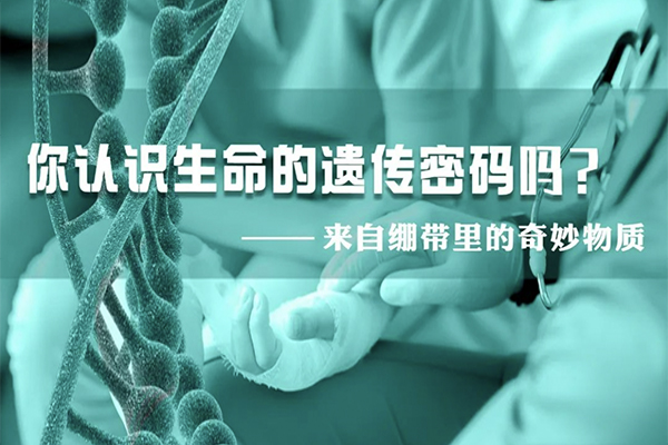 科普園地|來自繃帶里的奇妙物質(zhì)，你認識生命的遺傳密碼嗎？